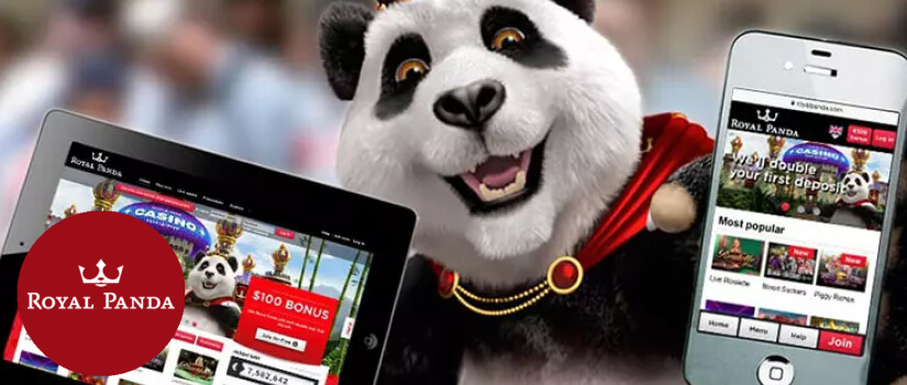 Royal Panda app