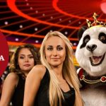 Introduction about Royal Panda casino