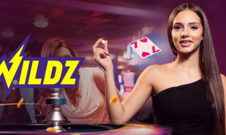 A short course on Wildz casino