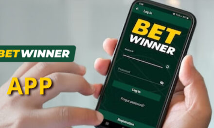 Betwinner App: Specifics about the Lucky Winner of the Bet
