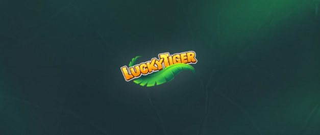 How to Play at Australia Best Online Casino – Lucky Tiger Overview